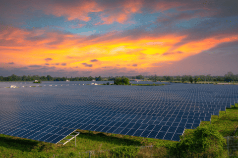 PDP_Solar Farm