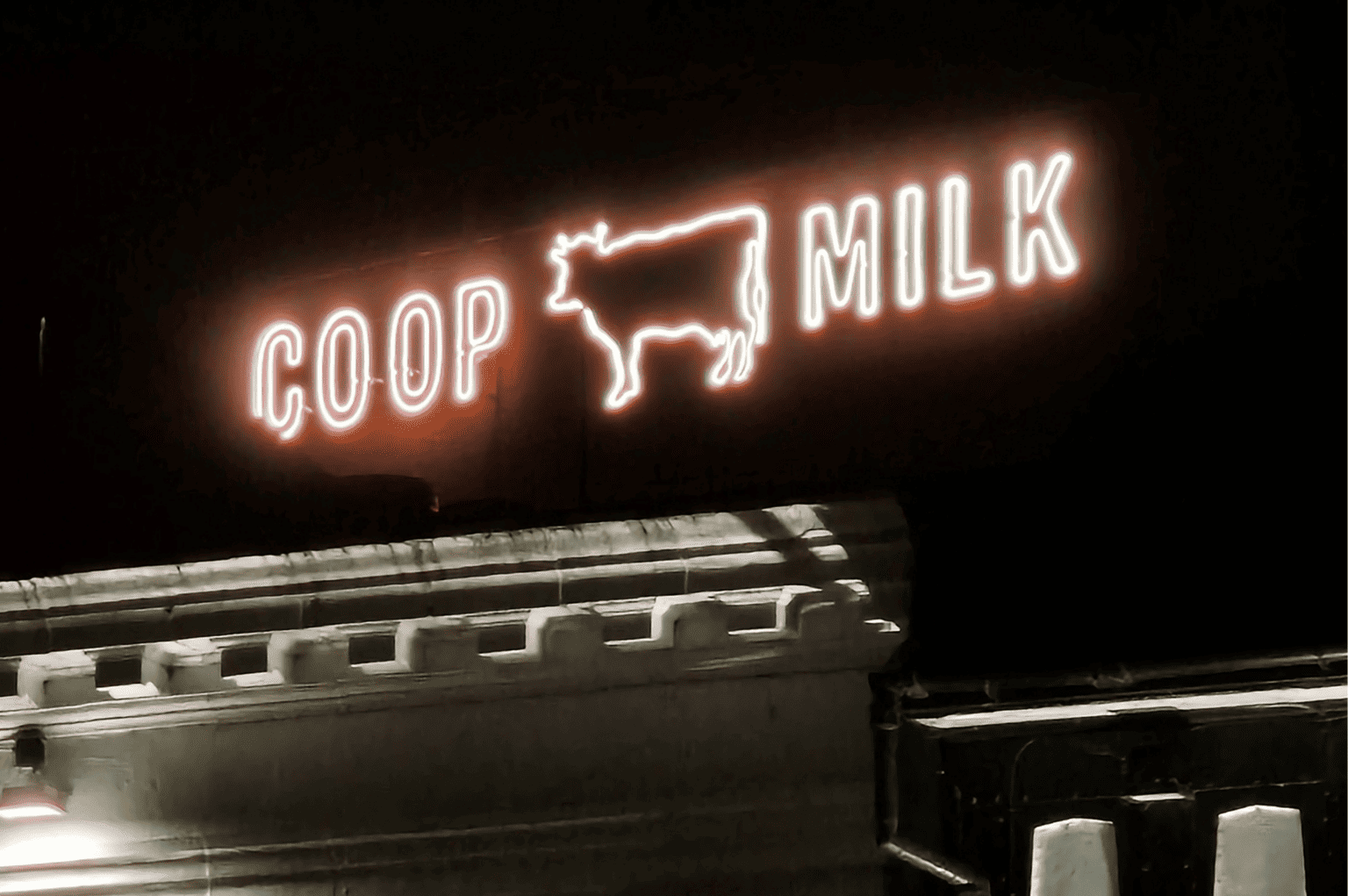 The Co-Op Cow