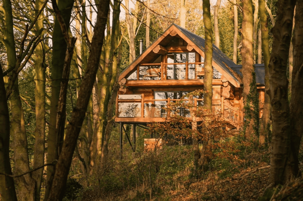eco-friendly holiday