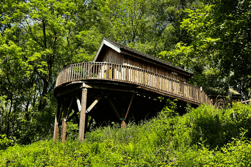 Glamping