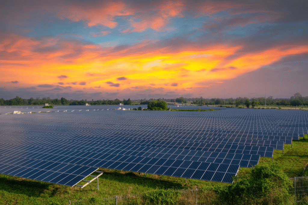 Solar Farm