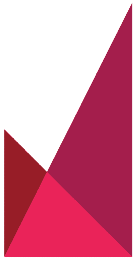 PDP Logo